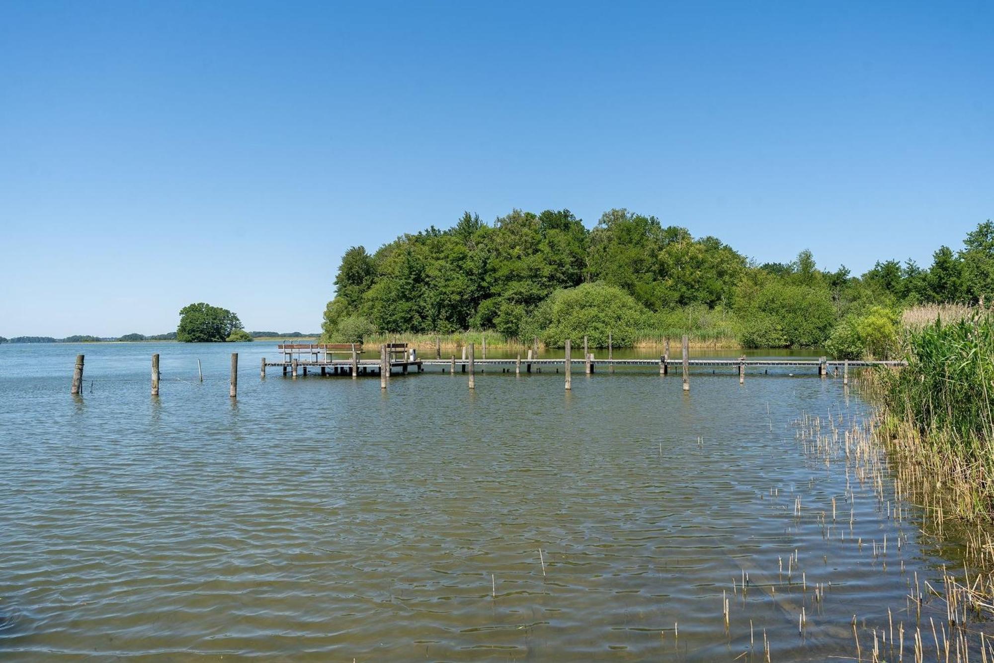 Haus Schwanensee Seeblick Bischofsee Bosau Exteriör bild